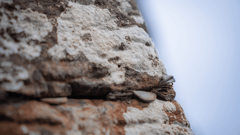 Corroded coins wedged into a crack in the basalt stone at the Giant’s Causeway, with rust staining visible on the rock surface.